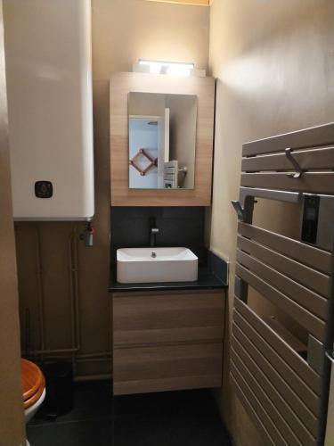 a bathroom with a sink and a mirror at Résidences de Mélisa La Foux d'Allos in La Foux d'Allos