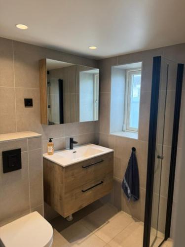 a bathroom with a sink and a toilet and a mirror at Fisketången Seaside Stay in Kungshamn