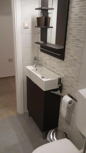 La salle de bains est pourvue d'un lavabo et de toilettes. dans l'établissement Delight Loft, à Rovinj