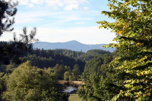 a view of a river with mountains in the background at Dom w Dolinie in Trzcińsko