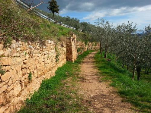 a stone wall with trees and a dirt road at Residence Terra Dei Santi Country House in Spello