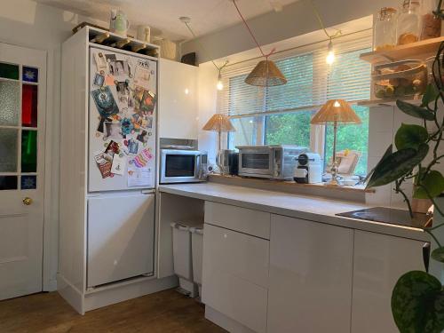 a kitchen with a refrigerator and a microwave at Spacious Studio by the sea, Garden & Parking in Marazion