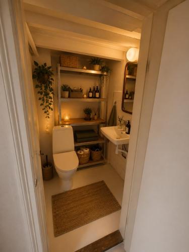 a bathroom with a toilet and a sink at Kysthus Villa Nexø in Neksø