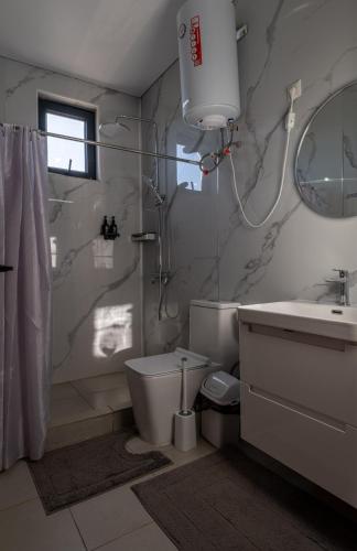 a bathroom with a shower and a toilet and a sink at Southlux in Tossor