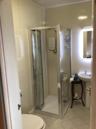 a bathroom with a shower with a toilet and a sink at PORTORA HOUSE- breakfast available pay host at property in Killyhevlin