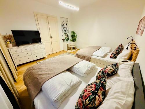 Apartment near Schönbrunn Palace