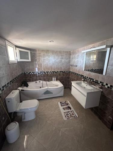 a bathroom with a toilet and a tub and a sink at Résidence Les Camélias in Tabarka