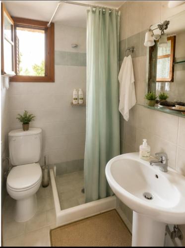 a bathroom with a toilet and a sink at Mountain Escape Villa in Gamvriá