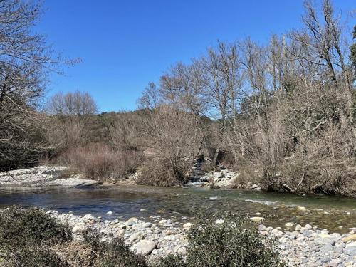 a river with rocks and trees in the background at E piane in Moltifao