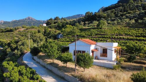 a small white house in a vineyard next to a river at Manolates 360 in Manolátes
