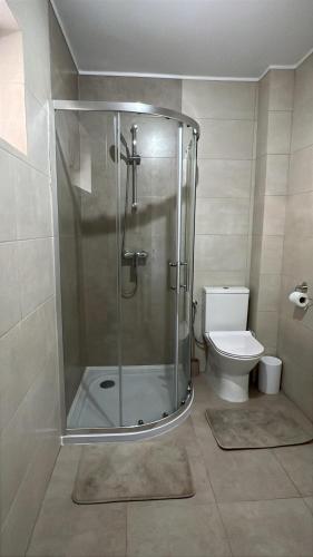 a shower stall in a bathroom with a toilet at Colt de Apuseni in Curăţele
