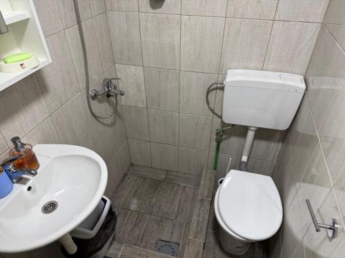 a bathroom with a white toilet and a sink at Lake Escape Dodoši in Dodoši