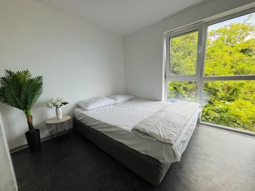 a bedroom with a bed and a large window at Beach House Cabacum in Golden Sands