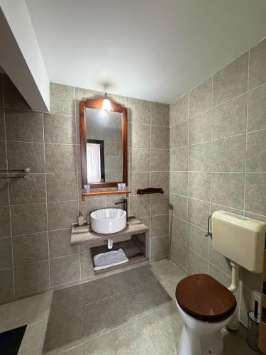 a bathroom with a sink and a toilet and a mirror at Vila Alisa in Bran
