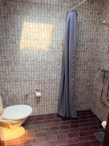 a bathroom with a toilet and a shower at Room for rent Solskrænten in Vorgod