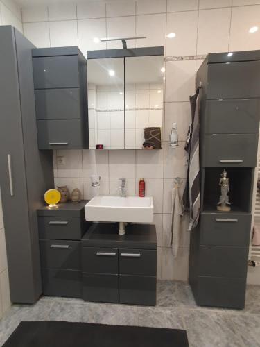 a bathroom with a sink and a mirror at Ferienwohnung Dreiländereck Gronau in Spechtholzhock