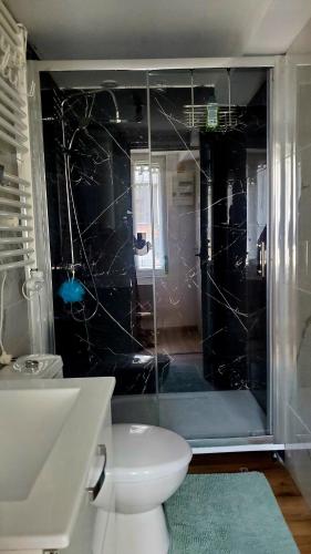 a bathroom with a glass shower and a toilet at Studio Confort in Château-Chinon