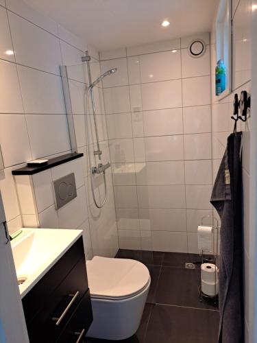 a bathroom with a shower and a toilet and a sink at Chalet Del Sole in Voorthuizen