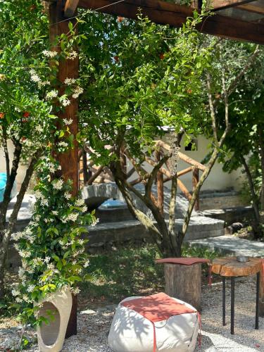 a garden with a chair and a tree and stairs at GuestHouse "Shtëpia ime" in Përmet