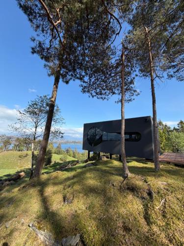 a bench in a field between two trees at Birdbox Forland in Stord