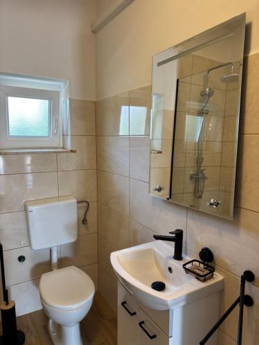 a bathroom with a toilet and a sink and a mirror at Apartment Marin in Donji Seget