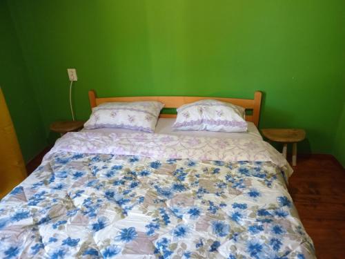 a bed in a bedroom with a green wall at Apartmani Lazić in Plužine