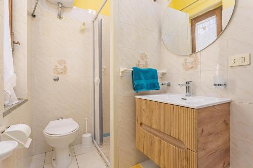 a bathroom with a toilet and a sink and a mirror at Villa Damiano in Tertenìa
