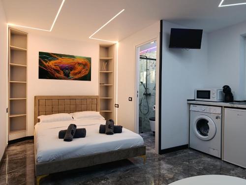 a bedroom with a bed and a washing machine at Mini Studio Aristocrat in Târgovişte