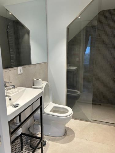 a bathroom with a toilet and a sink and a shower at Hotel Krebuli in Kazbegi