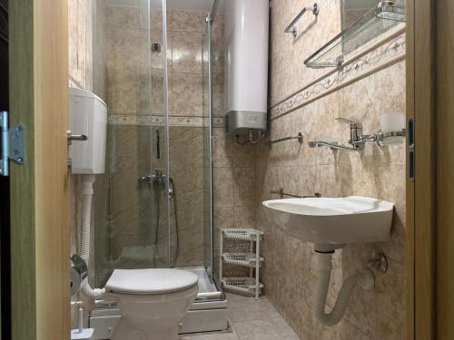 a bathroom with a shower and a toilet and a sink at Apartments Aleksandra Cetinje in Cetinje