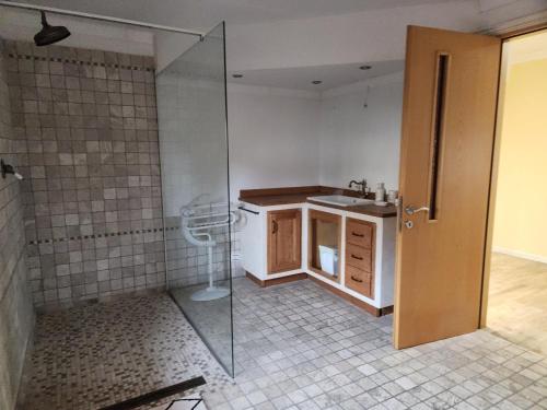 a bathroom with a sink and a glass shower at Il Pozzo dei Desideri Vintage in Spilimbergo