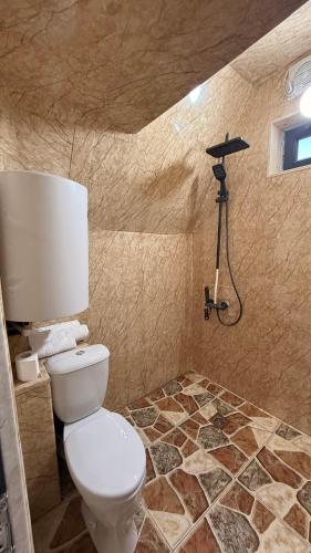 a bathroom with a toilet and a shower in it at Dsegh Eco Home in Dsegh