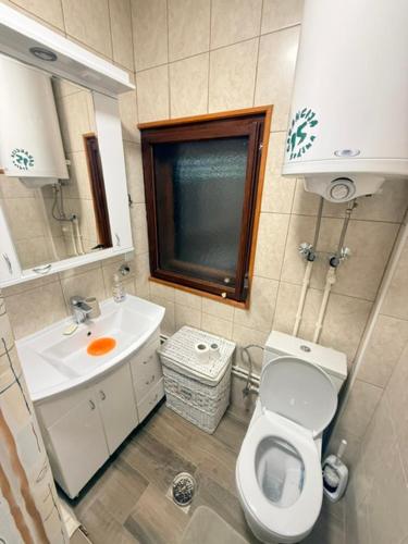 a small bathroom with a toilet and a sink at Zlatibor week house in Palisat