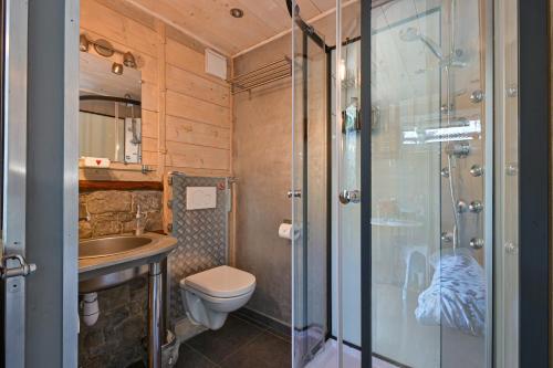 a bathroom with a shower and a toilet and a sink at Chambre D'hôtes La Télécabine in La Balme-de-Thuy