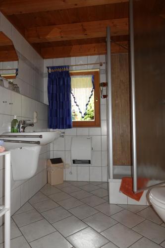 a bathroom with a sink and a toilet and a window at Ferienhaus Großmann in Drognitz