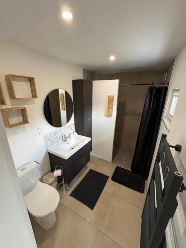 a bathroom with a white toilet and a sink at Le chalet de l Escaut in Bantouzelle