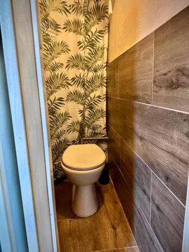 a bathroom with a toilet and a wall at Apacs Villa in Ráckeve