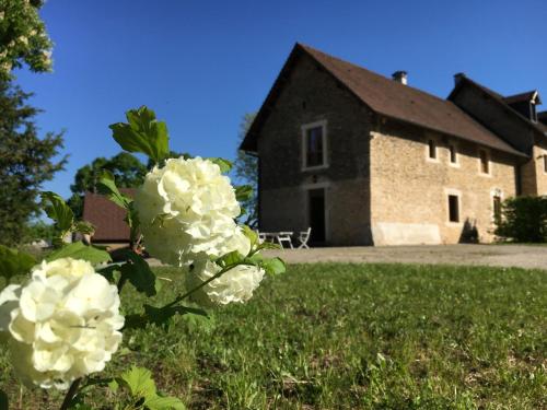 a house with white flowers in front of a building at Maison confortable et calme, 2 chambres in Saint-Marcel-Bel-Accueil