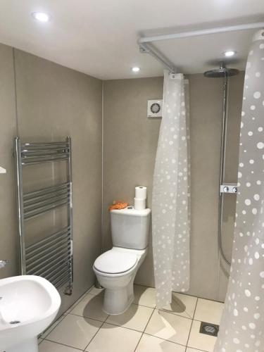a bathroom with a toilet and a shower and a sink at Brewery Lodge in Blakeney