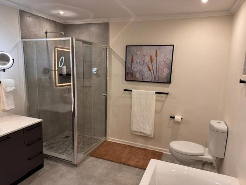 a bathroom with a shower and a toilet at First Light Serenity in Hluhluwe