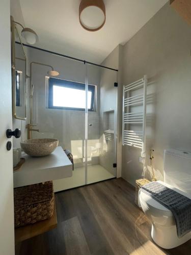 a bathroom with a toilet and a sink and a mirror at Monte da Fonte in Odemira