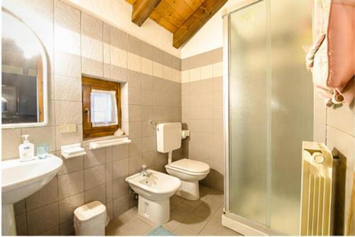 a bathroom with a toilet and a sink and a shower at The Old Barn by Roby in Saint Vincent