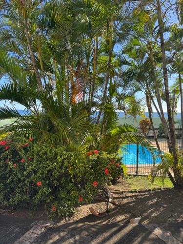 a group of palm trees and flowers next to a pool at AZURÉA Marina ! in Gourbeyre