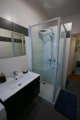 a bathroom with a glass shower and a sink at Gîte Comme Chez Vous à Lunéville confort, calme et séjour en Lorraine in Lunéville