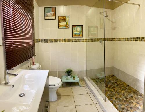 a bathroom with a shower and a toilet and a sink at Golf View Lodge Melmoth in Melmoth