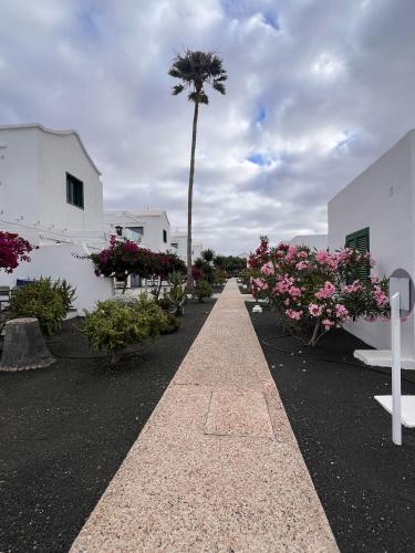 a pathway with a palm tree and pink flowers at Hyde Park Lane in Puerto del Carmen