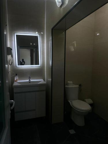 a bathroom with a toilet and a sink and a mirror at Trojet e Mija in Theth