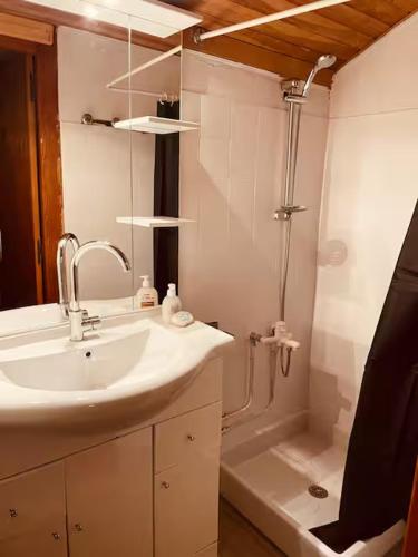 a white bathroom with a sink and a shower at Dharma Farm Retreat in Mijoux