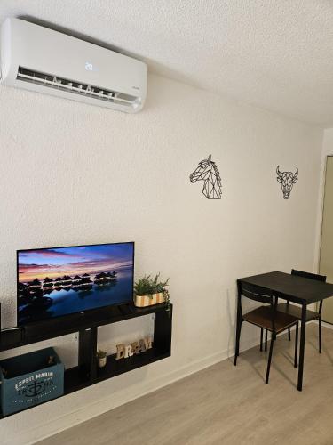 Studio Cabine - Grau du Roi - Tout à pieds !