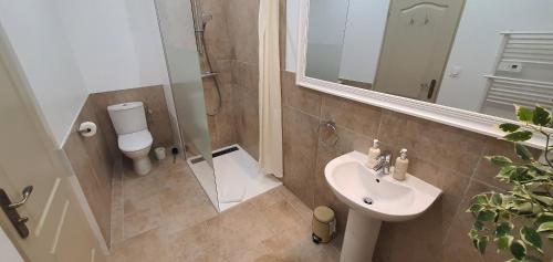 a bathroom with a sink and a shower and a toilet at Boutiquezimmer Duchesse in Mirepoix